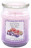 CANDLE LITE Nectar & Fruit & Berry 538 g
