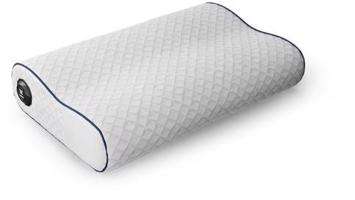 Tesla Smart Heating Pillow
